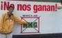 crema19
